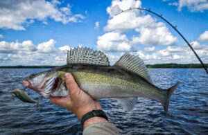 Trolling Boat Fishing