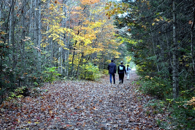 Outdoor fall activities